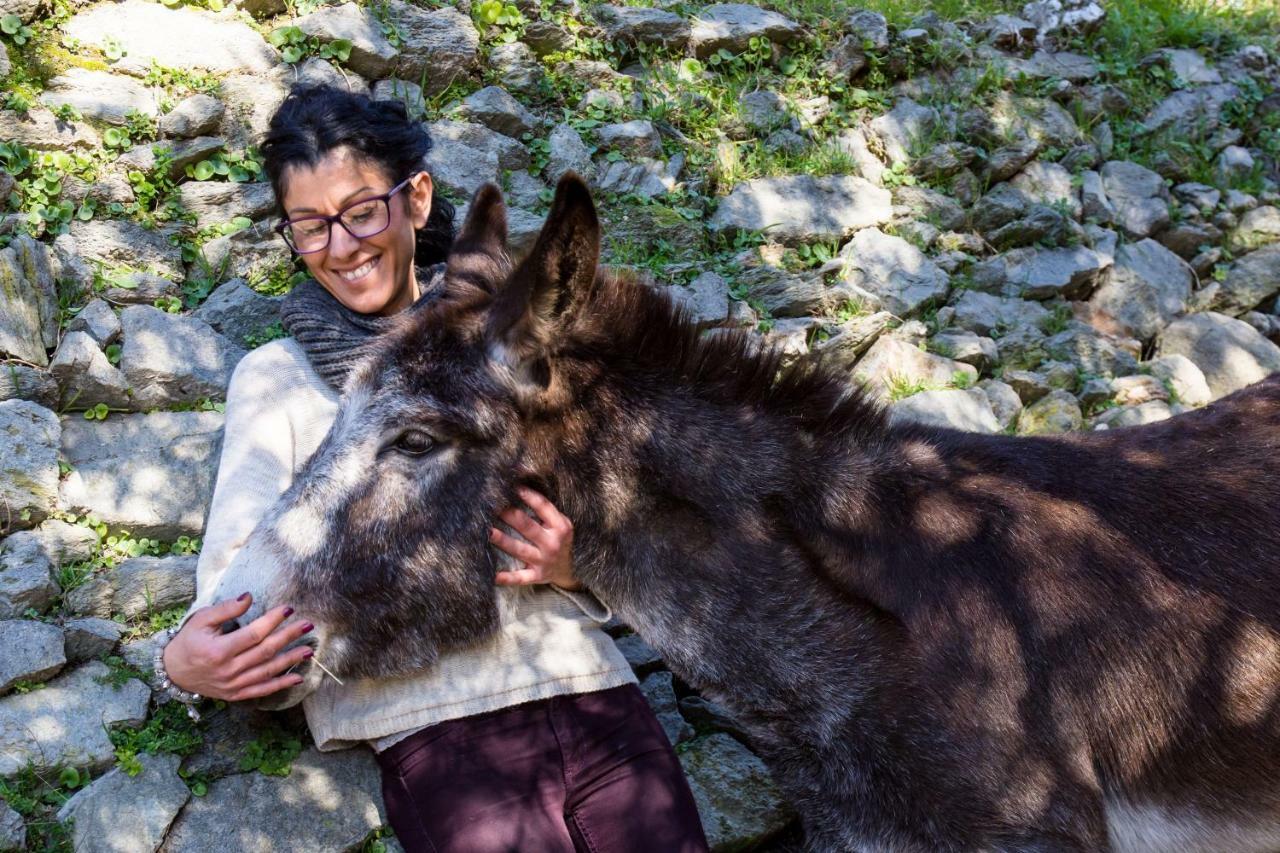 Agriturismo A Ca Vegia Calice Ligure 외부 사진