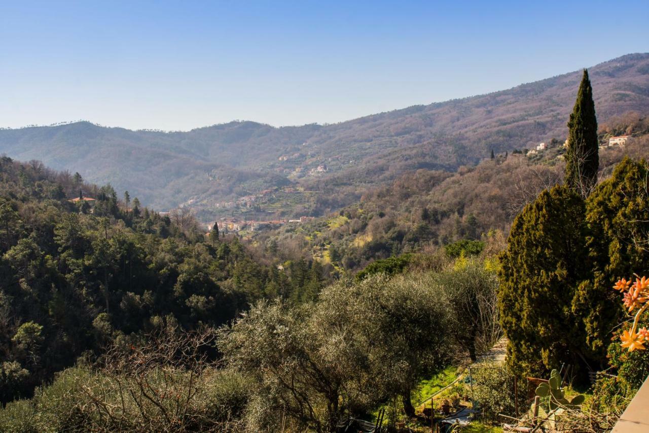 Agriturismo A Ca Vegia Calice Ligure 외부 사진